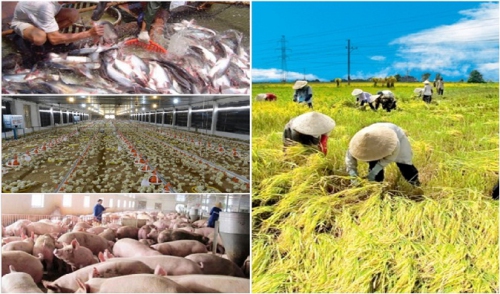 KHTC - Chiến lược Hội nhập kinh tế quốc tế ngành nông nghiệp và phát triển nông thôn đến năm 2030