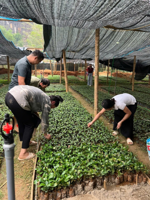 QLĐT- Khai giảng các lớp đào tạo nghề cho lao động nông thôn Đợt 1, năm 2026