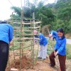 Trường THPT Mường Luân tích cực hưởng ứng “Tết trồng cây đời đời nhớ ơn Bác Hồ” năm 2026