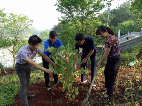 VP. Sở Giáo dục và Đào tạo ra quân hưởng ứng Tết trồng cây năm 2016.