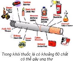 Thanh tra Sở:Tác hại của thuốc lá đối với sức khỏe con người
