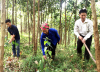KHTC- Hỗ trợ ngân sách nhà nước trong đầu tư bảo vệ và phát triển rừng