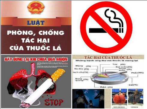 Tăng cường thực hiện Luật phòng, chống tác hại của thuốc lá trong cán bộ, nhà giáo, người lao động