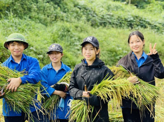 Đoàn viên thanh niên Trường PTDTNT THPT huyện  Mường Chà ra quân “Ngày chủ nhật xanh”