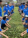 Trường THPT Mường Luân tích cực hưởng ứng “Tết trồng cây đời đời nhớ ơn Bác Hồ” năm 2026